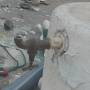 20200710_img_20200707_212651.jpg