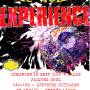 flyer_nemexperience_j-3.jpg