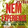flyer_nemexperience_j-4.jpg