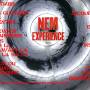 flyer_nemexperience_j-6.jpg